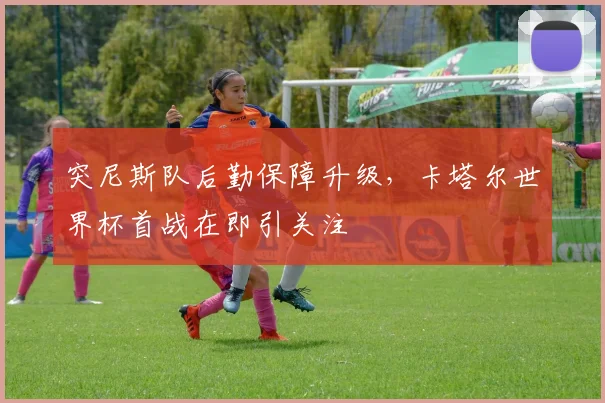 突尼斯队后勤保障升级，卡塔尔世界杯首战在即引关注