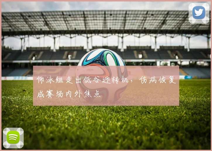 仰泳组走出低谷迎转机，伤病恢复成赛场内外焦点