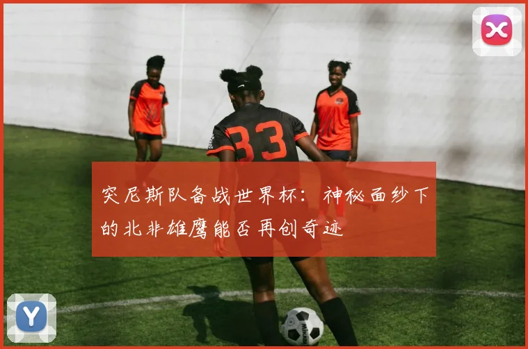 突尼斯队备战世界杯：神秘面纱下的北非雄鹰能否再创奇迹